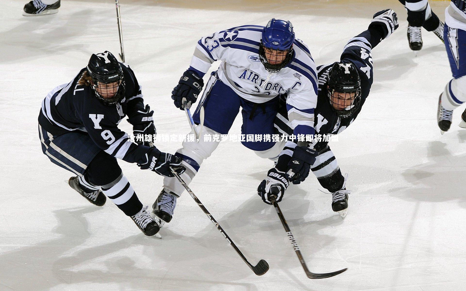 沧州雄狮锁定新援,前克罗地亚国脚携强力中锋即将加盟